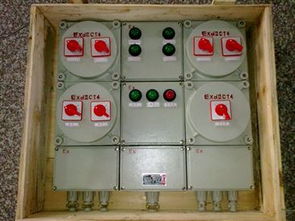 時間繼電器按鍵防爆儀表箱